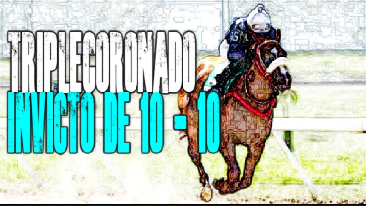 El MEJOR Caballo de la Historia Hípica de Valencia