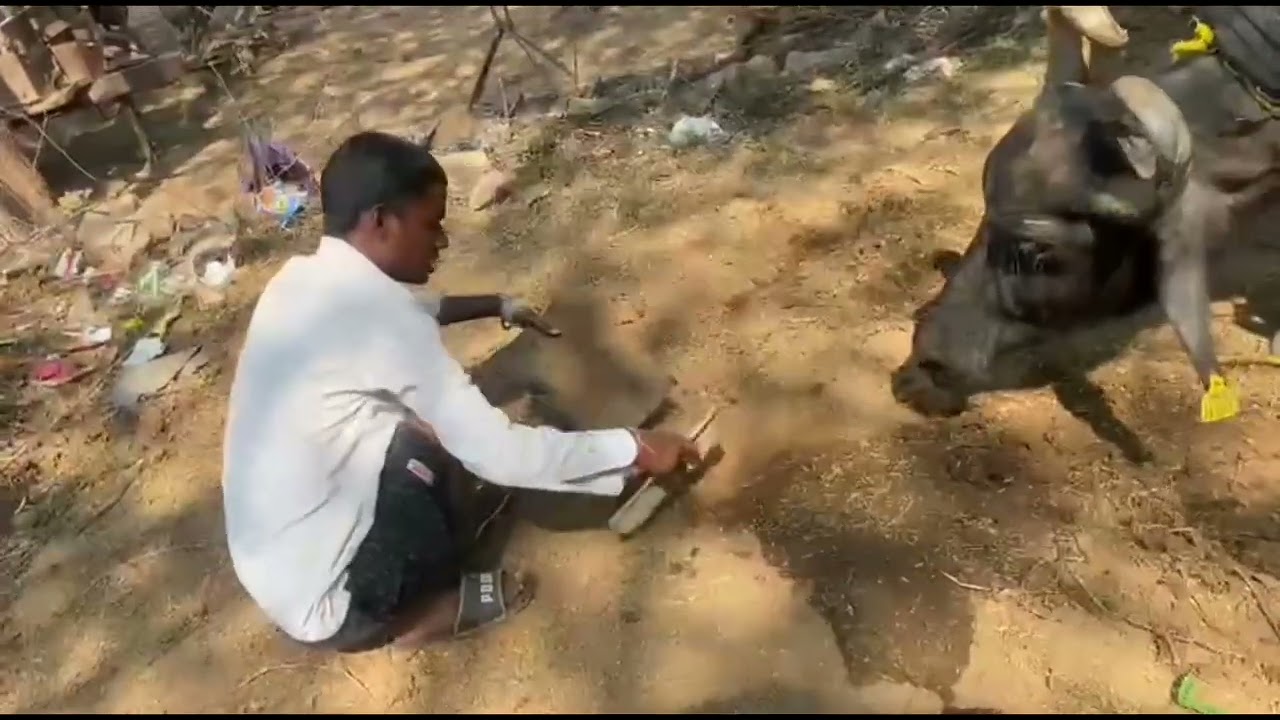 #😥bhola tarm short video-#bhesh ne mara bhola👀 ko#😂