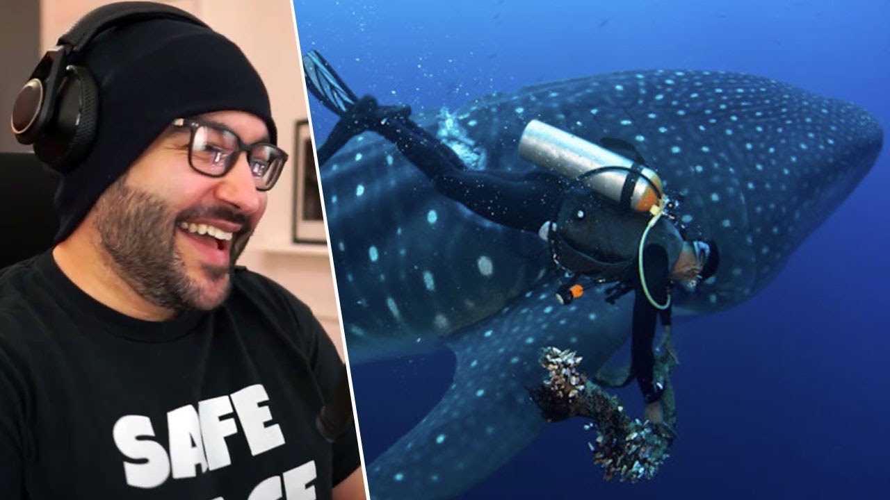 Mikey Reacts To Daily Dose Of Internet EP 06