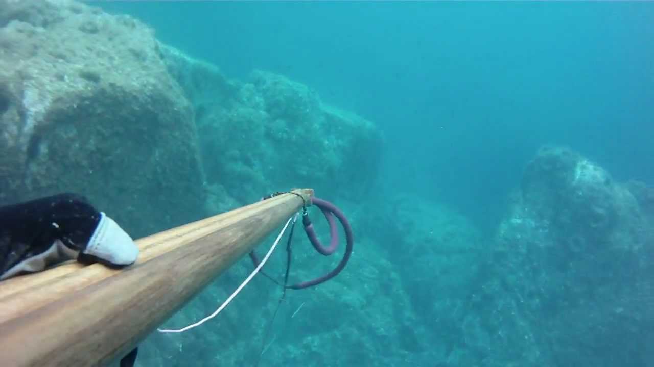espeton acecho ( pescasub spearfishing )
