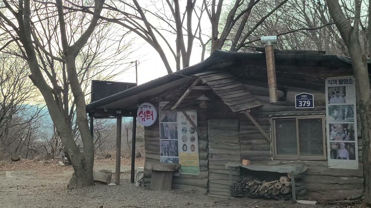 민들레 사랑;예담G(2026.01.12.14:45)