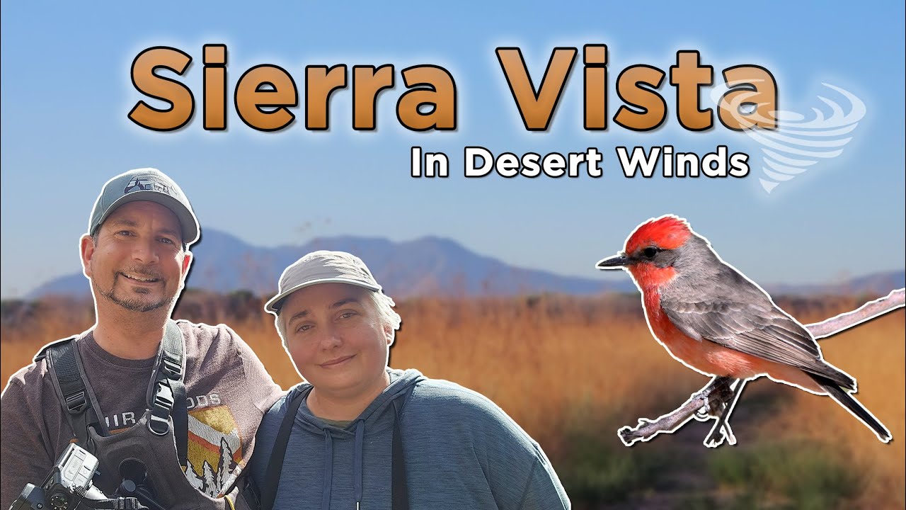 Birding Sierra Vista in Desert Winds - Arizona Birding Road Trip