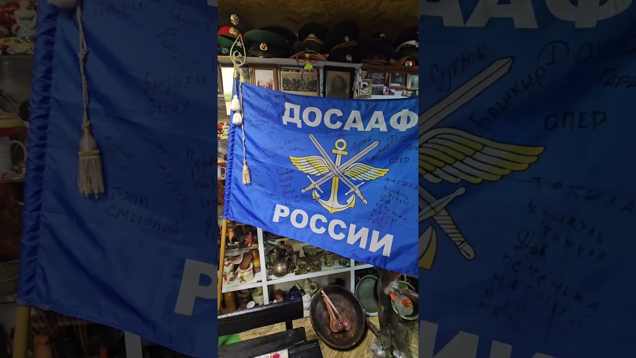 Частная коллекция от чучело телёнка до скульптуры Жукова музей частный 