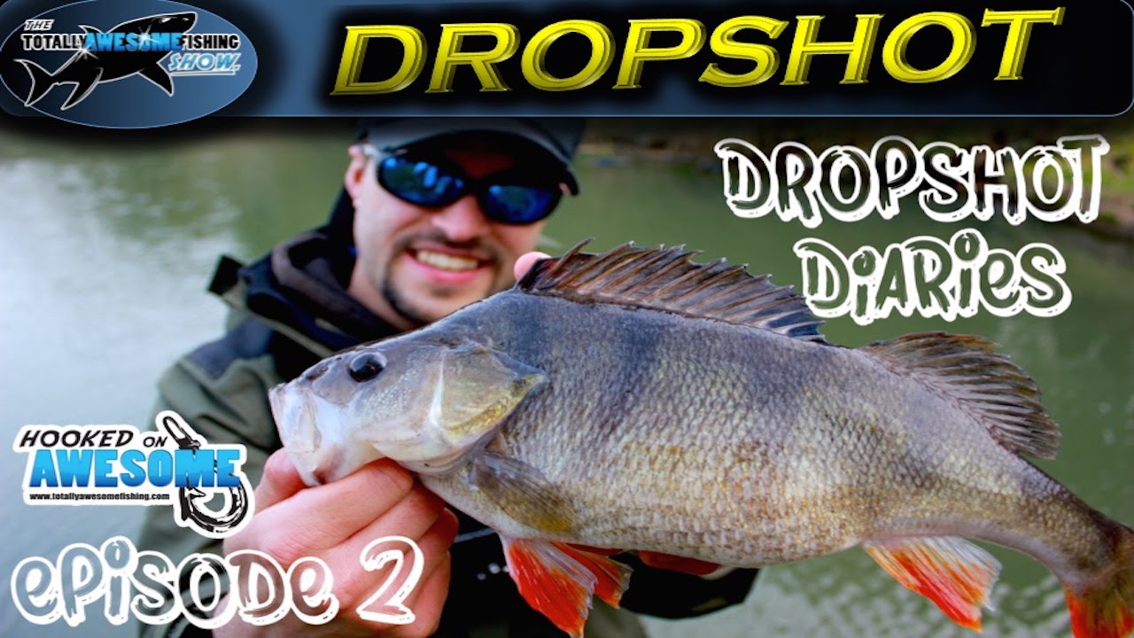 DROPSHOT DIARIES - Ep. 2 - Canals | TAFishing