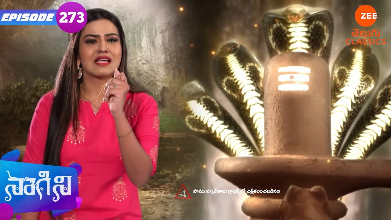 దేవి శివానీకి తెలియజేస్తుంది | Naagini | Full Episode - 273 | Zee Telugu Classics