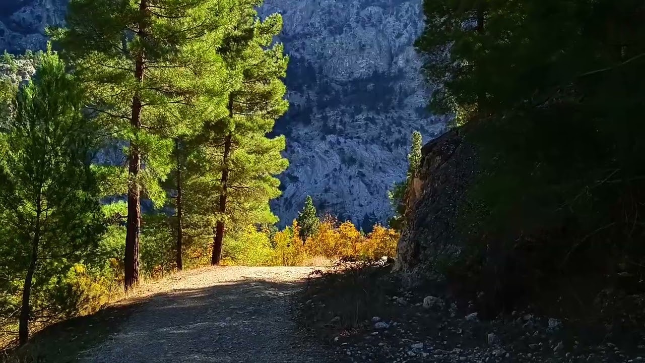 ADANA'NIN SAKLI CENNETİ! 🌲 BELEMEDİK Tabiat Parkı'nda Büyüleyici Bir Doğa Yürüyüşü VLOG