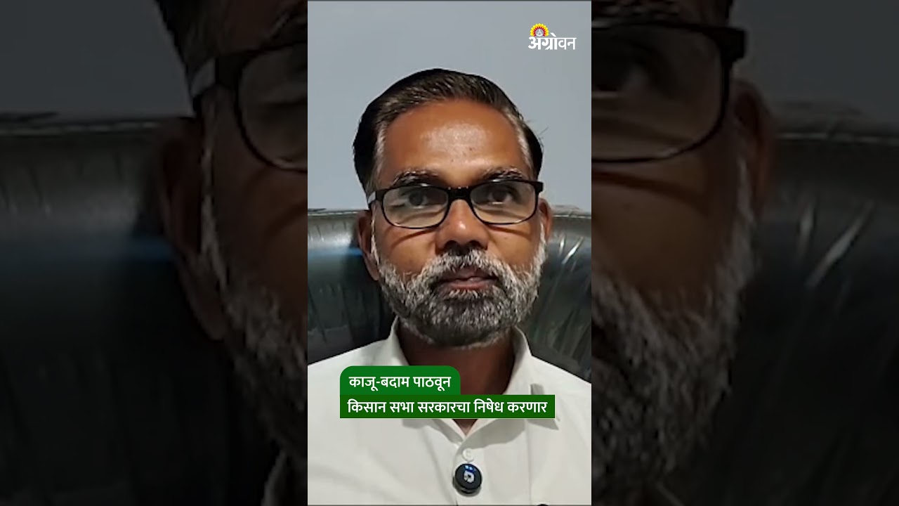 Kisan Sabha Protest : दुष्काळ आणि कर्जमाफीसाठी किसान सभेचे आंदोलन; २३ सप्टेंबरला राज्यभर मोर्चे