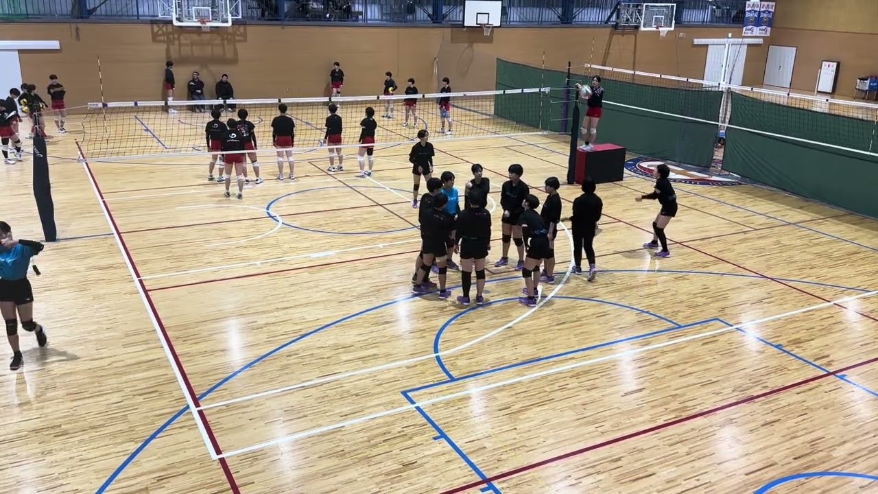 11/11 ④