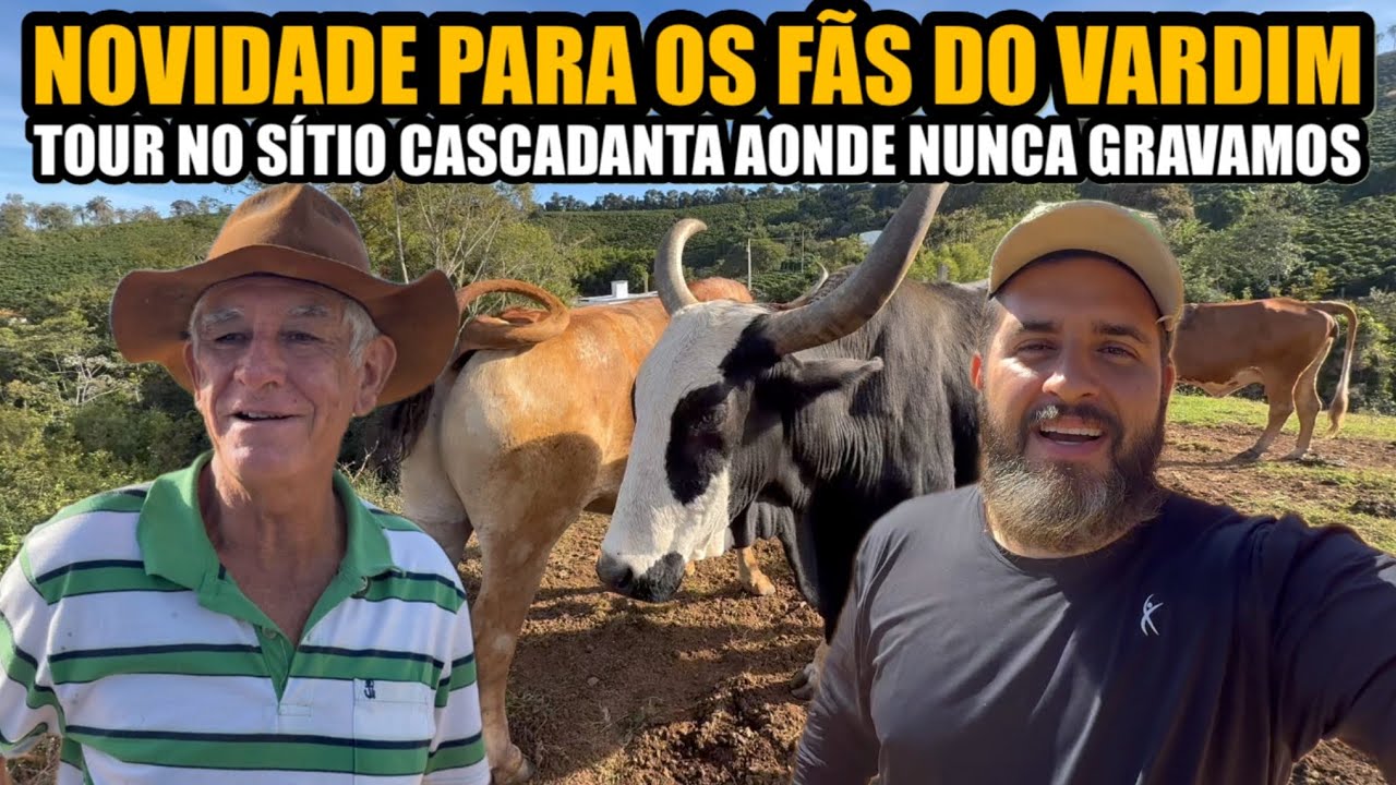 O INCRÍVEL SÍTIO SO VARDIM ​⁠@VARDIM  (SITIO CASCADANTA)