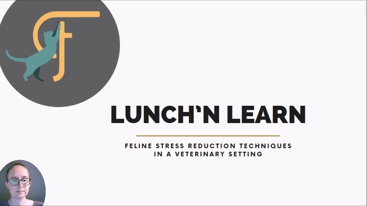 Lunch'n Learn #3 - Feline stress reduction techniques in a veterinary setting