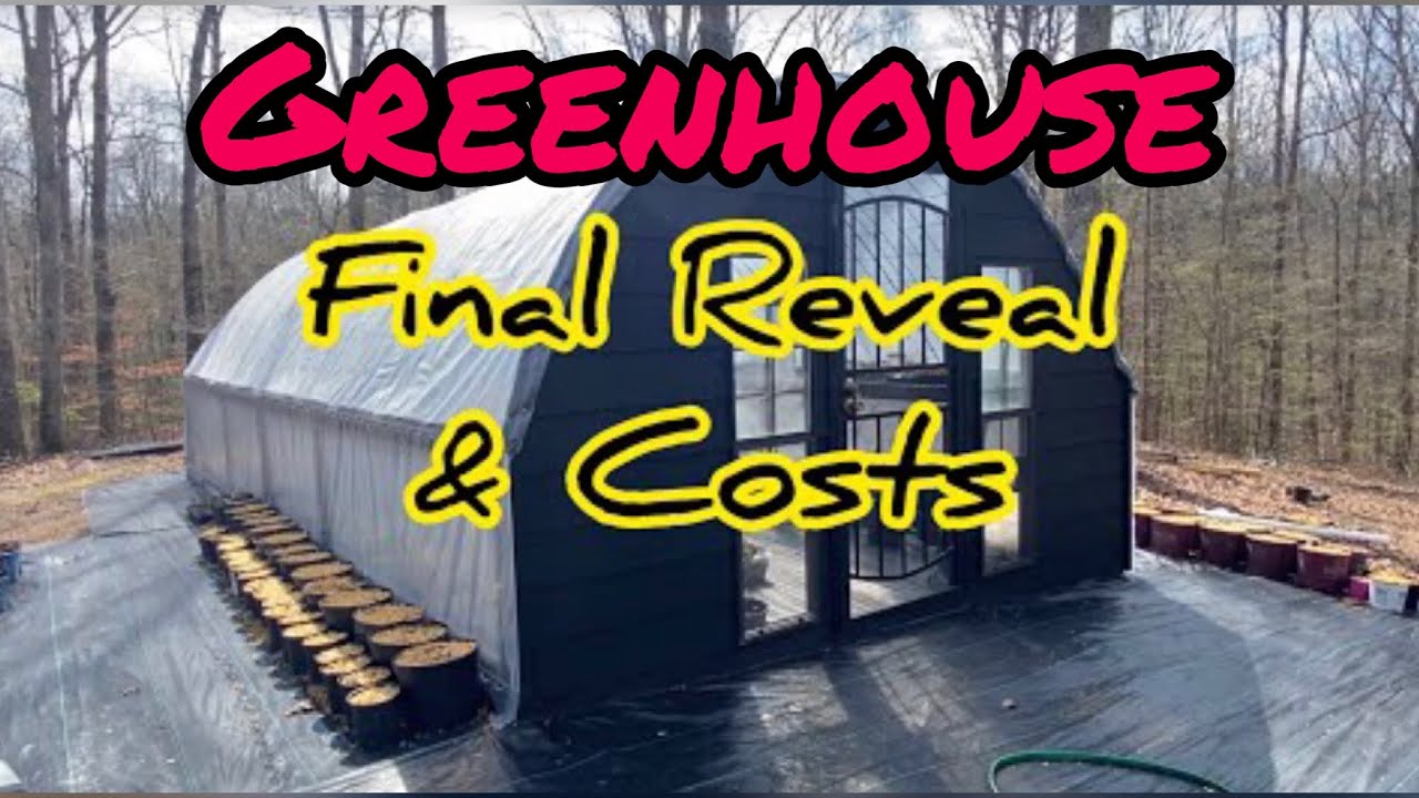 Part 6: Final reveal and Costs Cattle Panel Greenhouse