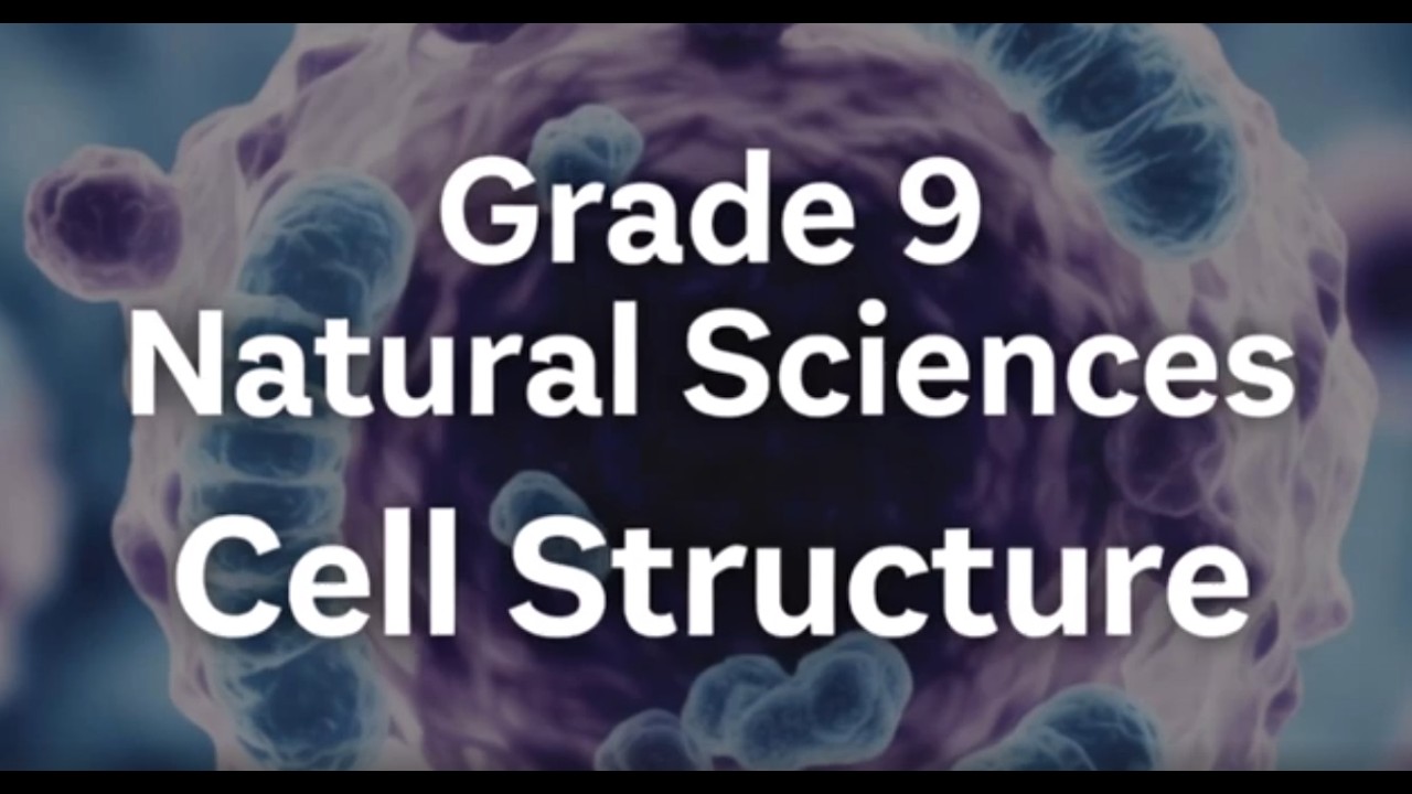 Grade 9 Natural Sciences   Cell Structure