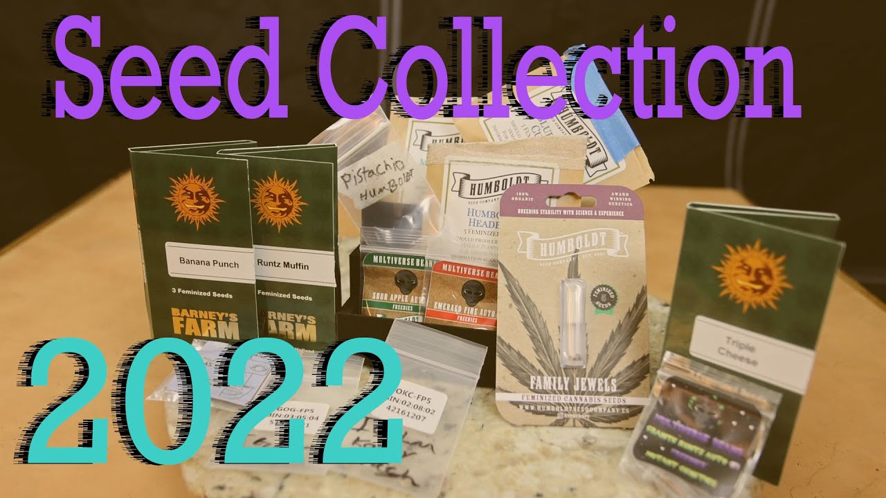 My Seed Collection 2022