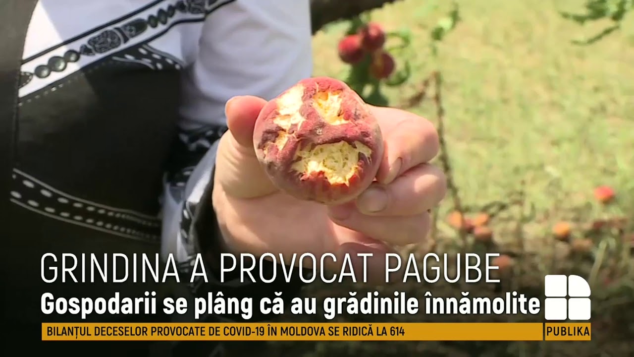 S-a rupt cerul la Săiți, Căușeni. O ploaie puternică, însoțită de grindină a distrus