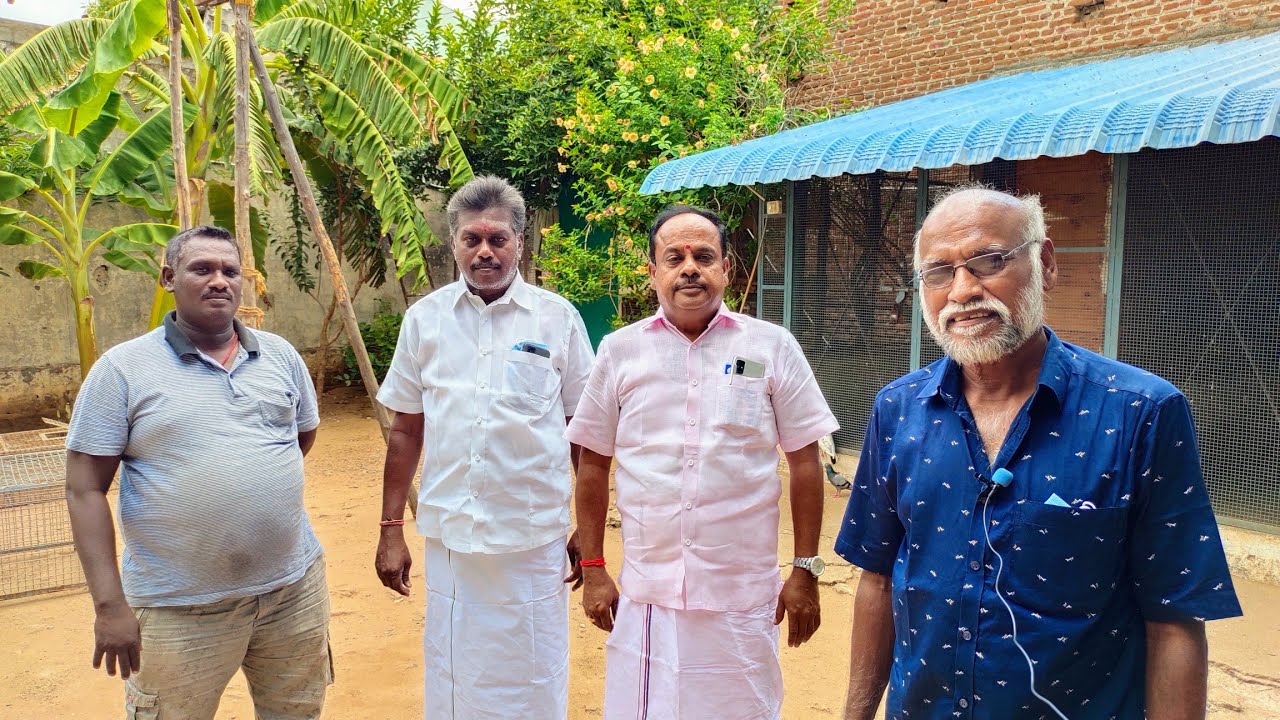 Loft tour my friend Karur v.Nedunchezhliyan with trichy Shaik , பழைய புறா வம்சங்கள்.