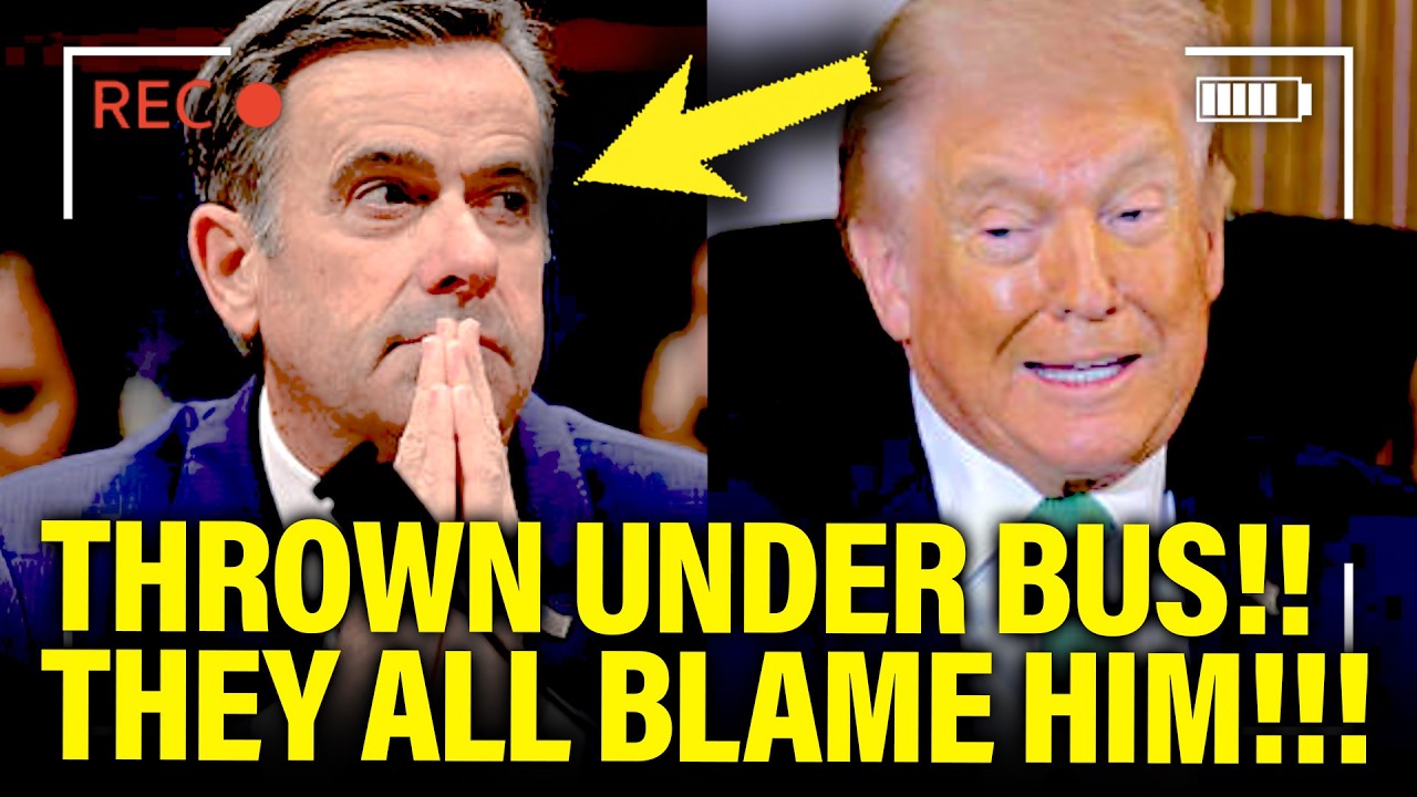 🚨TOP Trump Officials THROW HIM UNDER BUS at WAR HEARING!!
