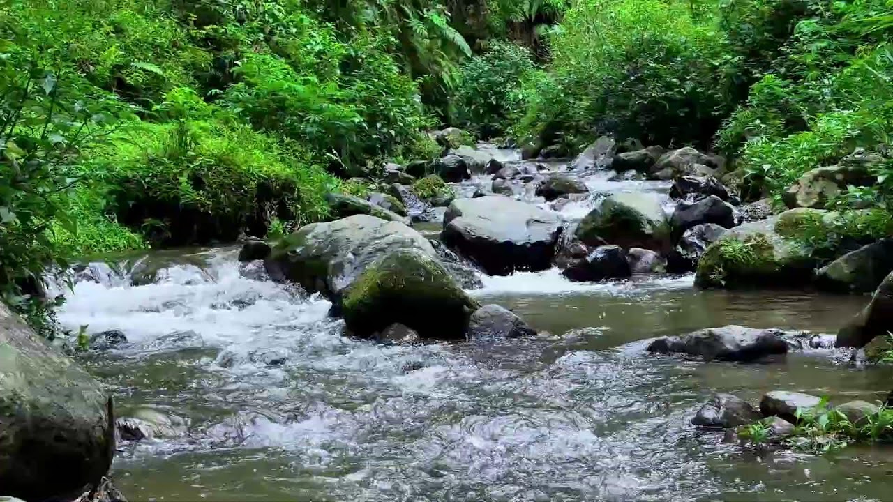 Soothing river sound under moonlit forest sky helping deeper deep sleep continue without stress