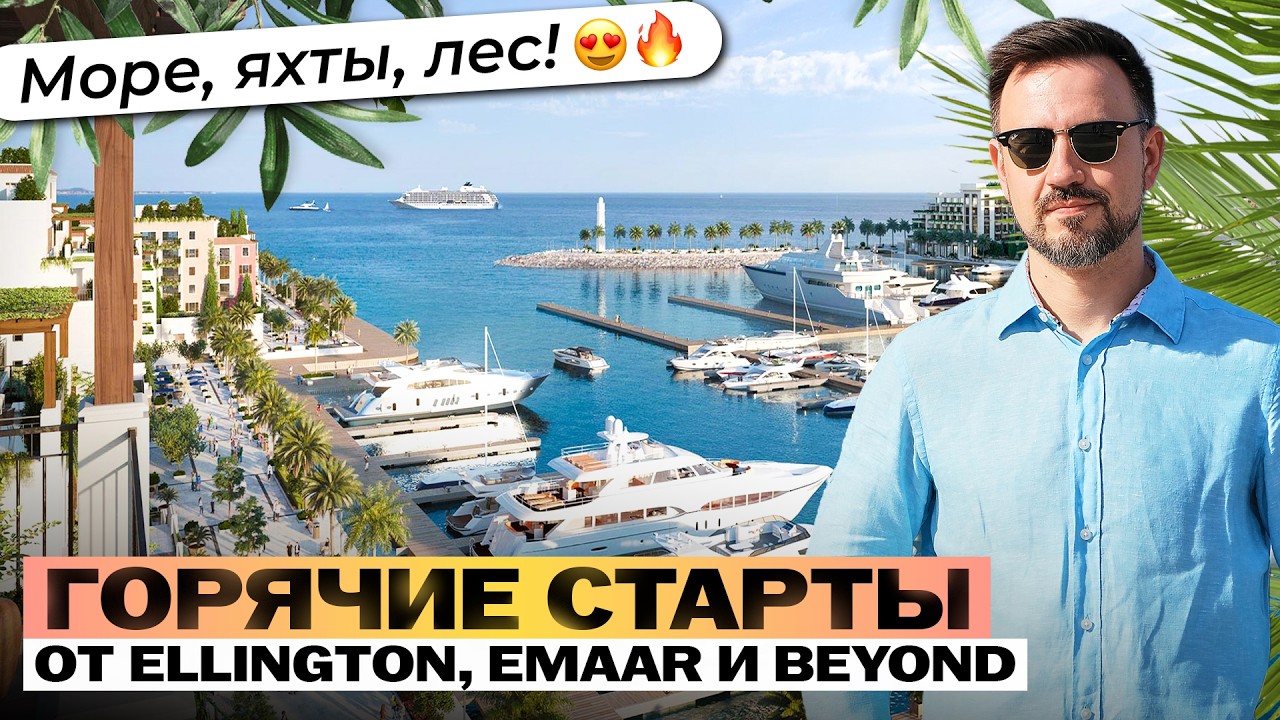 Mina Rashid или Maritime City? Что происходит с одним из самых перспективных районов Дубая.