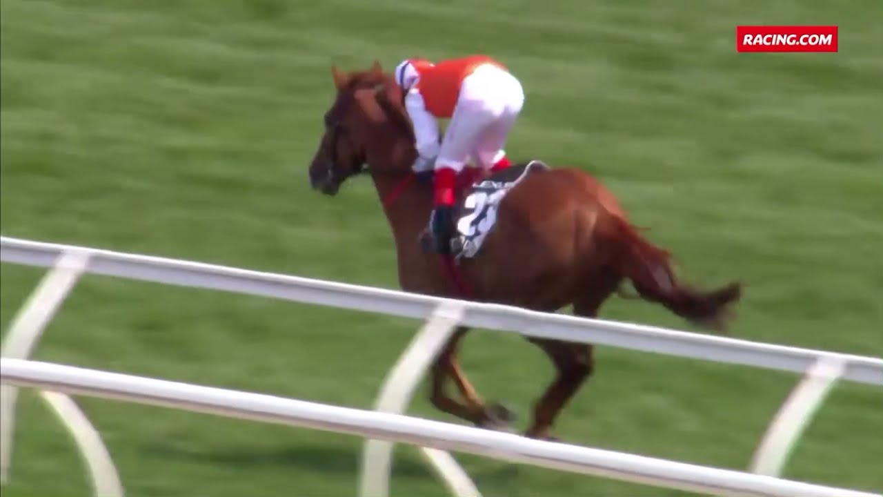 2019 Melbourne Cup - Vow and Declare