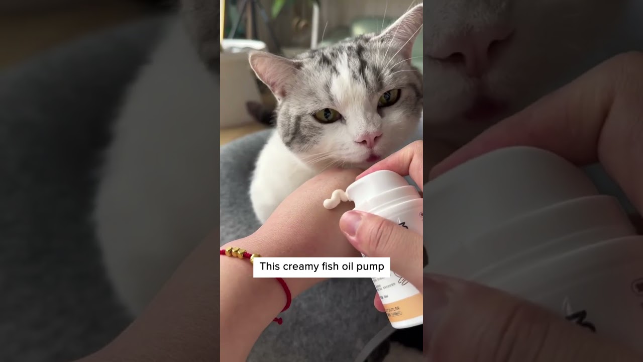 Лучший способ уменьшить линьку! 😻