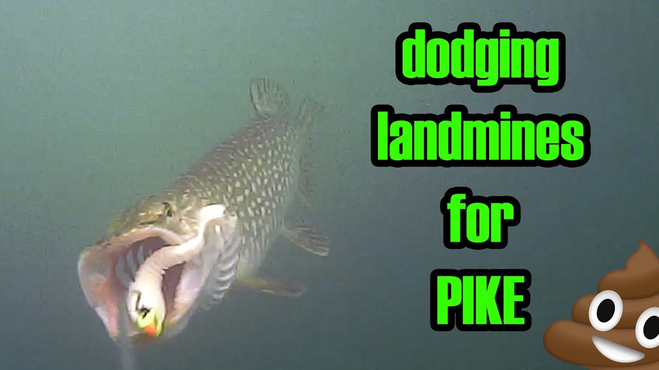 Toronto Pike + Water wolf underwater cam