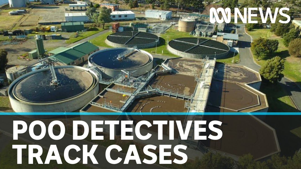 Scientists to examine Australians' sewage to track COVID-19 cases | ABC News