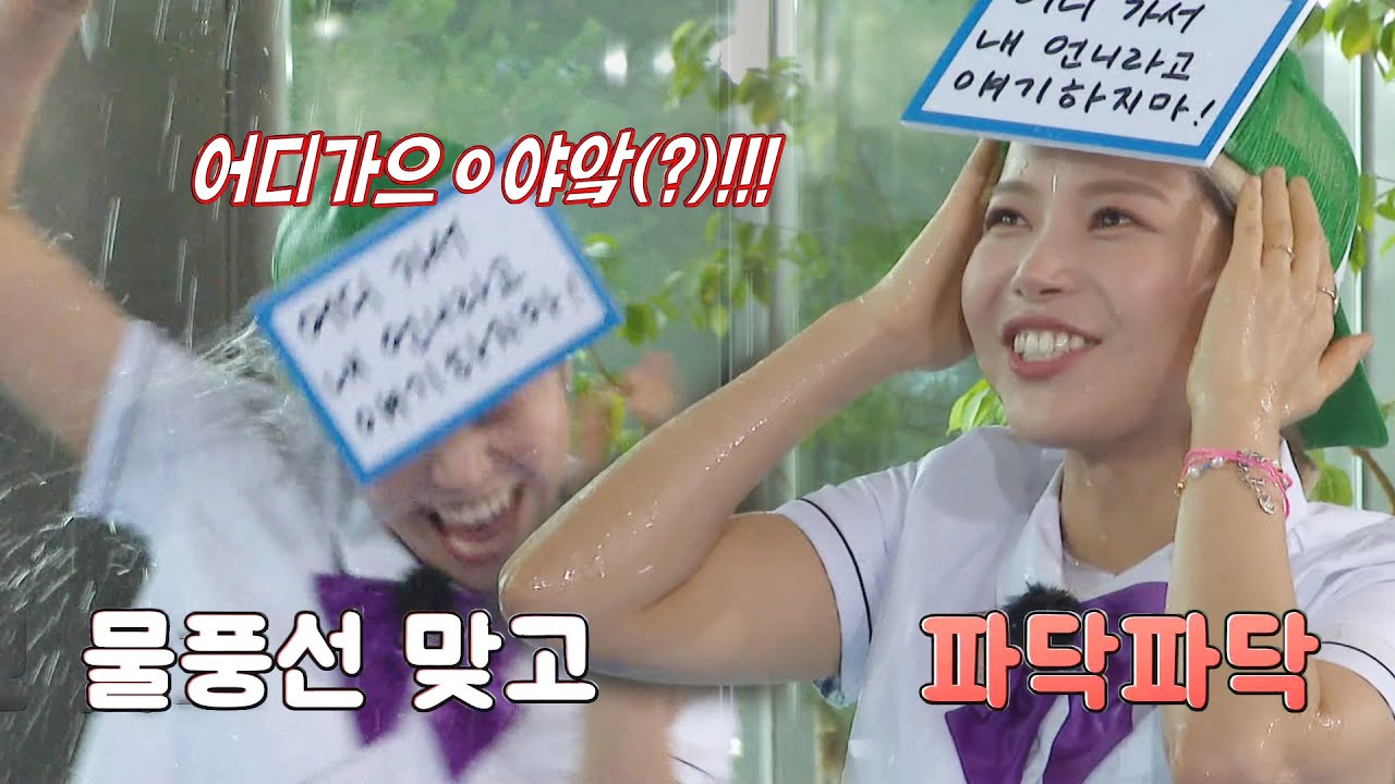 “꺄아악!!” 돌고래 솔라, 물풍선 맞고 폭풍 고주파 리액션 발사↗