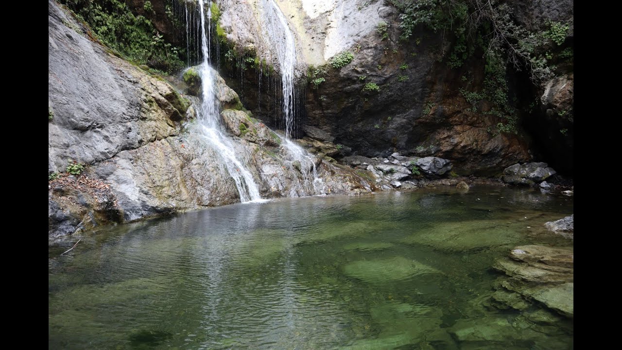 Endless Summer - Sights Around Plaskett Creek Campround
