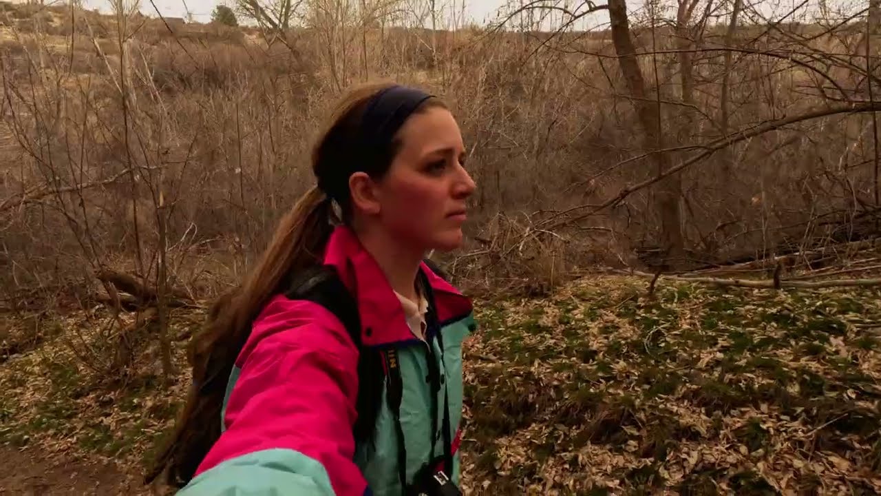 Walk a Husky through a Dormant Forest