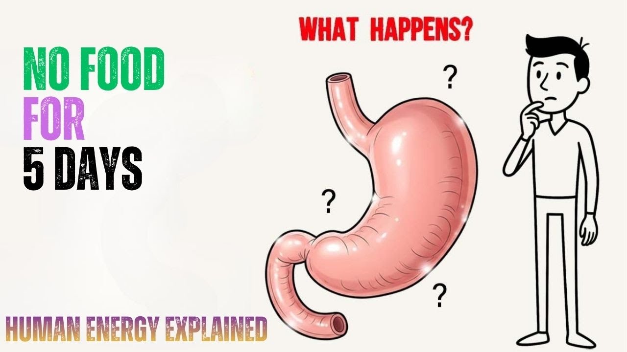 What Happens If You Don’t Eat for 5 Days? Nobel Prize Science Reveals the Truth#FastingScience,