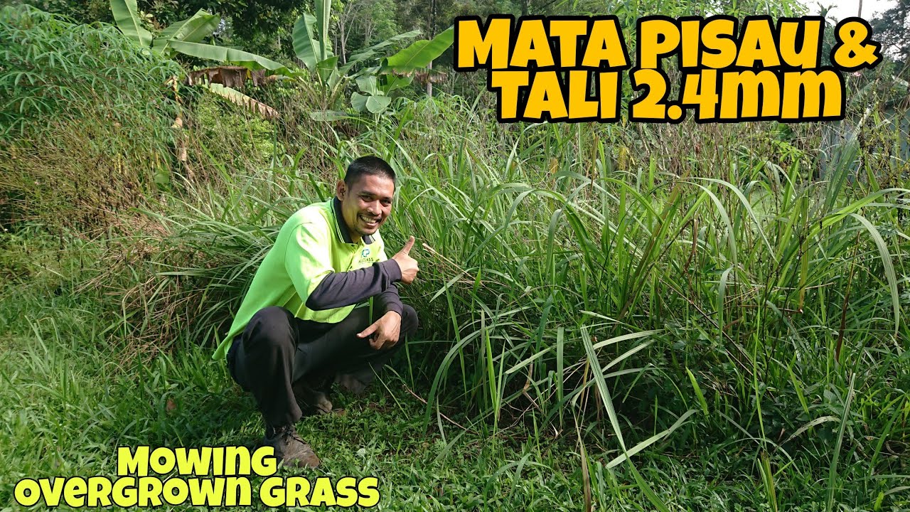 Potong rumput di kawasan RUMAH KAMPUNG |Mowing OVERGROWN grass.