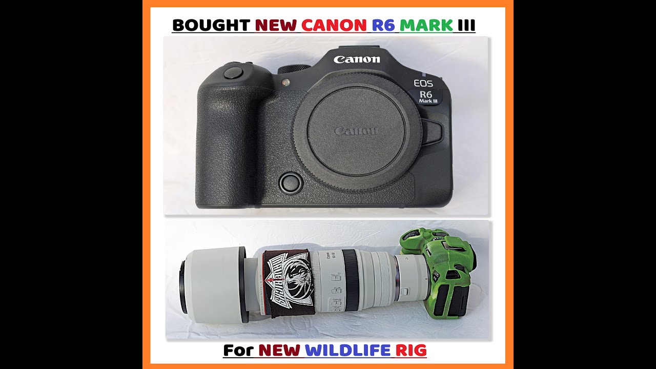 Bought NEW Canon R6 Mark III for my Ultimate Wildlife Rig!