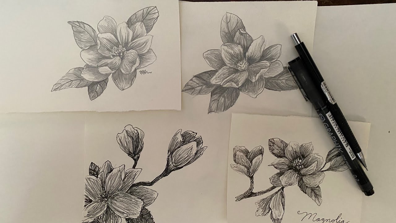 How to draw a magnolia flower- Quickie Sketch.