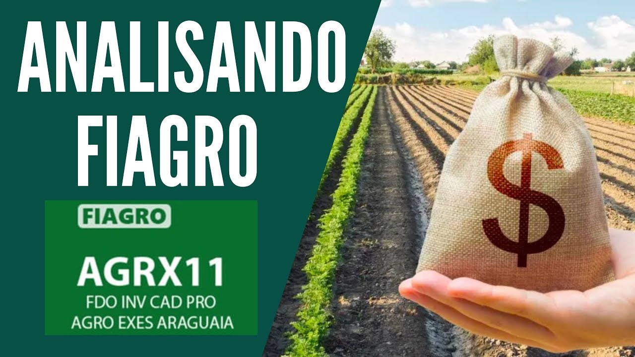 ANALISANDO O FIAGRO 