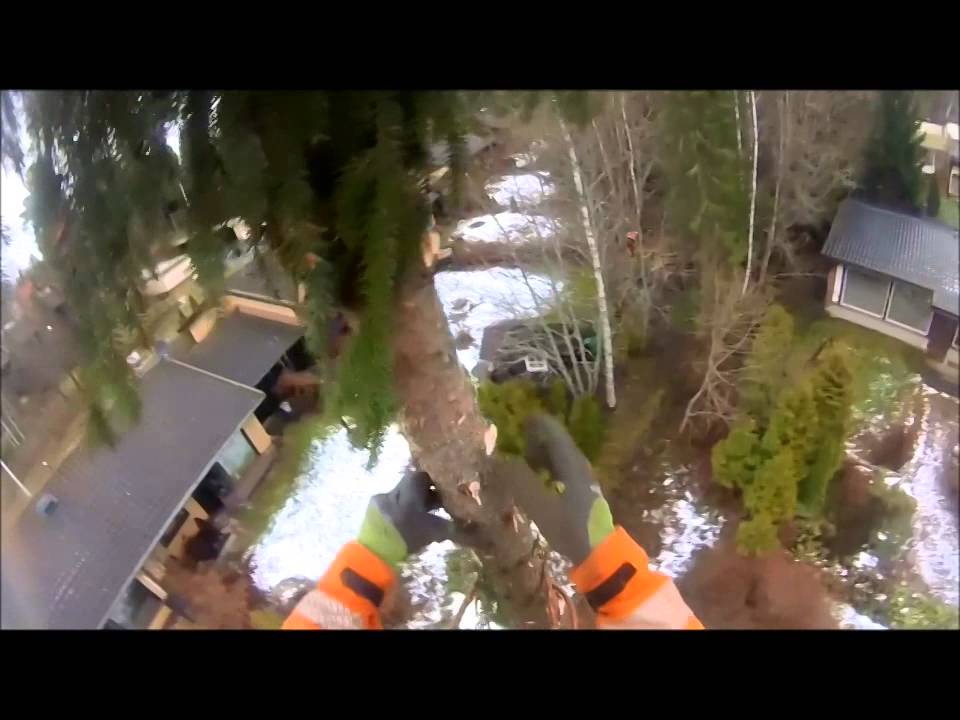 Pihapuun kaato kiipeilemällä