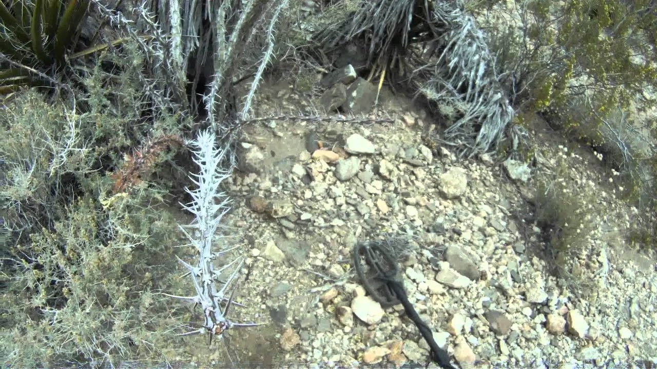 Garrett AT Gold nugget hunting