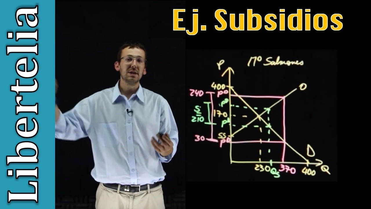 Ejercicio subsidio resuelto | Subsidios | Microeconom&iacute;a | Libertelia