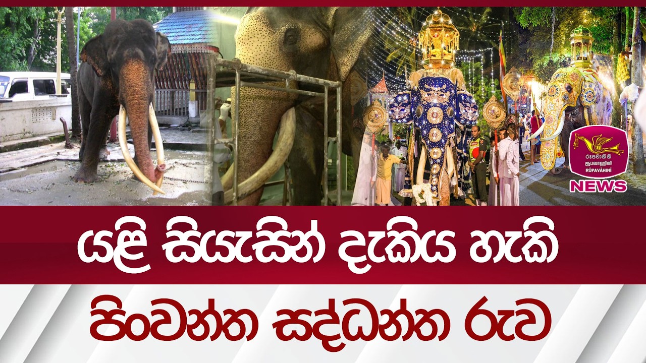 යළි සියැසින් දැකිය හැකි පිංවන්ත සද්ධන්ත රුව| Rupavahini News