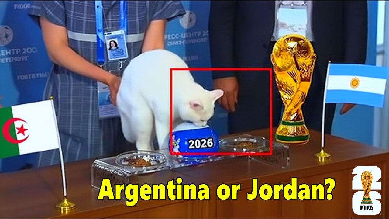 Argentina vs Jordan &ndash; Cat&rsquo;s 2026 World Cup Prediction Goes Viral!