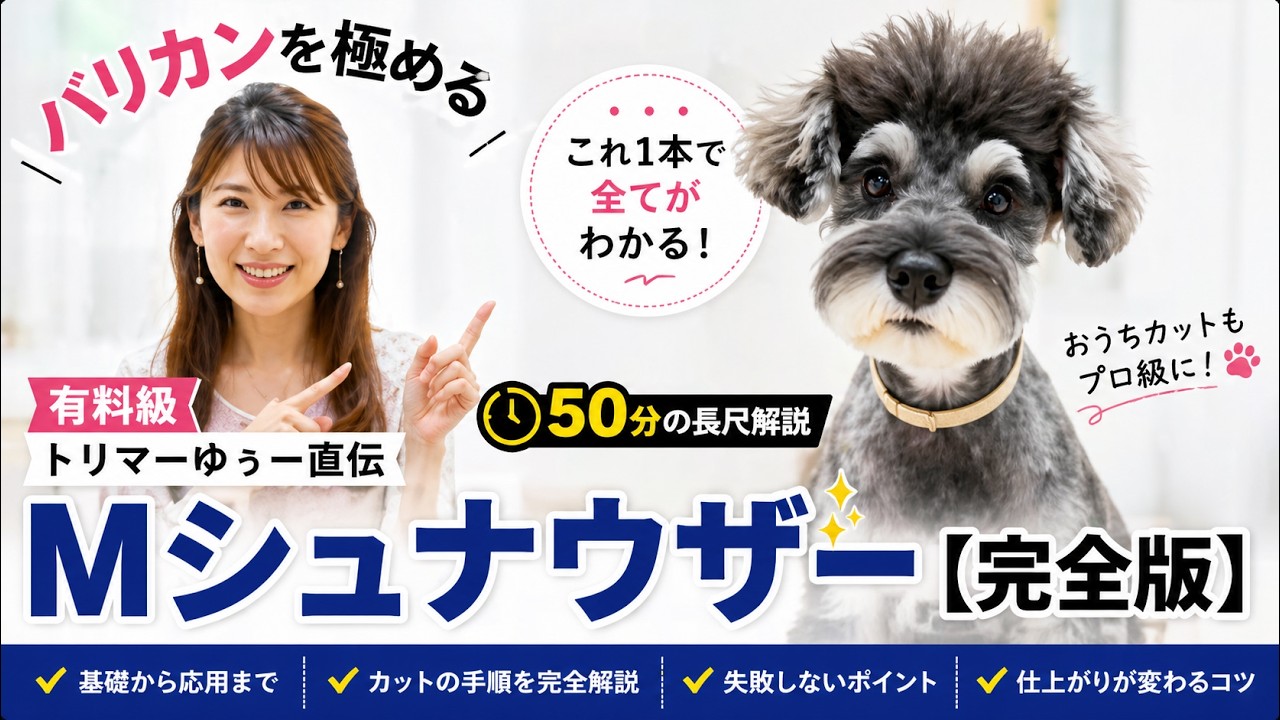 【完全保存版】トリマー必見！ゆぅー直伝 ミニチュアシュナウザーのトリミング解説