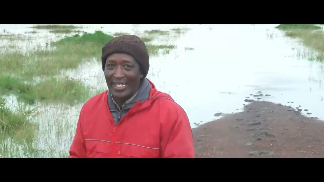 Lots of rain in the Mara