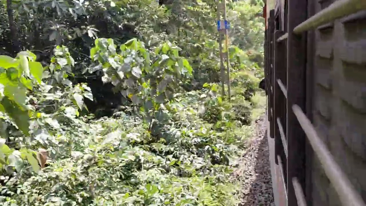 Dudhsagar pahadi ilaka#travel#Goa#ganesh#viral Videos #goaattractions #trendingpost ....