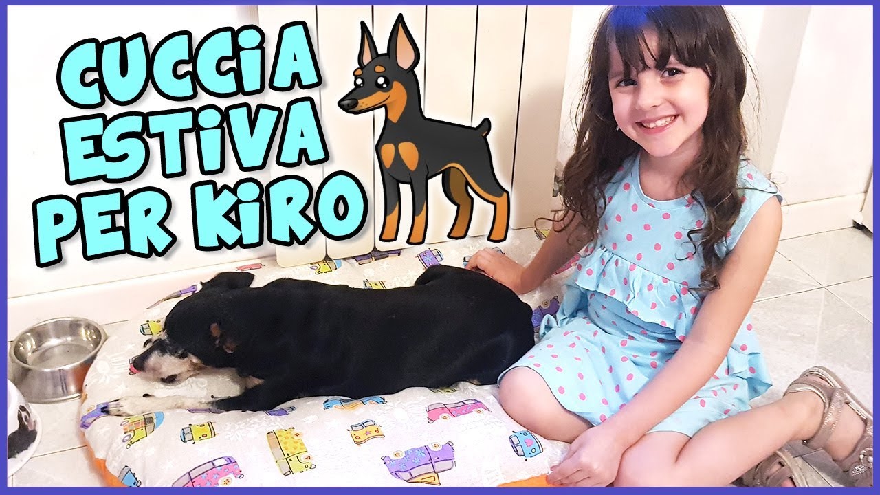 Cuccia nuova per il nostro cane Kiro! 🐶 Video bambini e animali