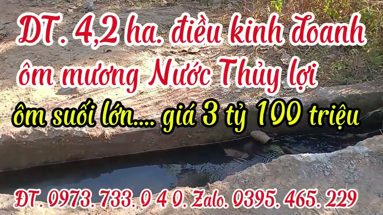 Chính chủ cần sang nhượng. 4,2 ha điều kinh doanh. Ôm mương Nước Thủy lợi. Giá 3 tỷ 100 triệu. 