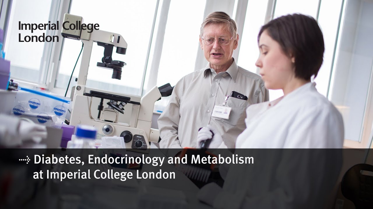 Diabetes, Endocrinology and Metabolism at Imperial College London