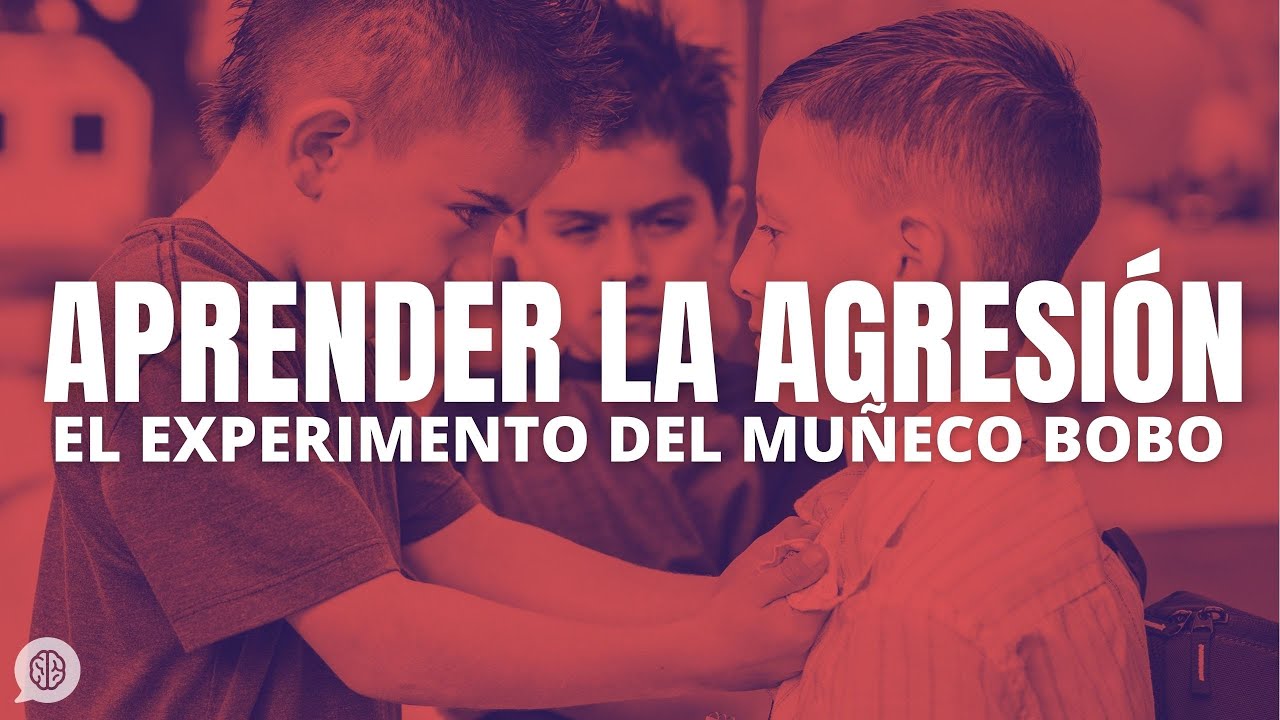 El experimento del muñeco bobo: un modelo de agresión