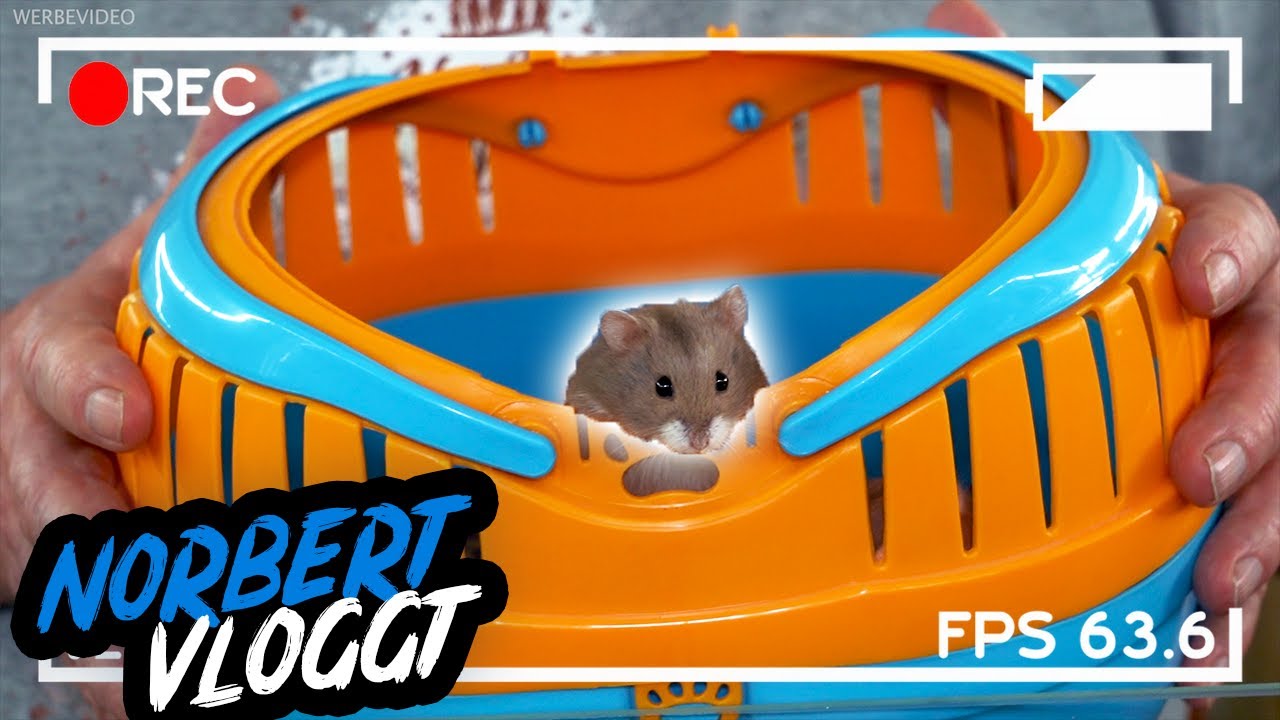 DER GESELLIGE HAMSTER | NORBERT VLOGGT | ZOO ZAJAC