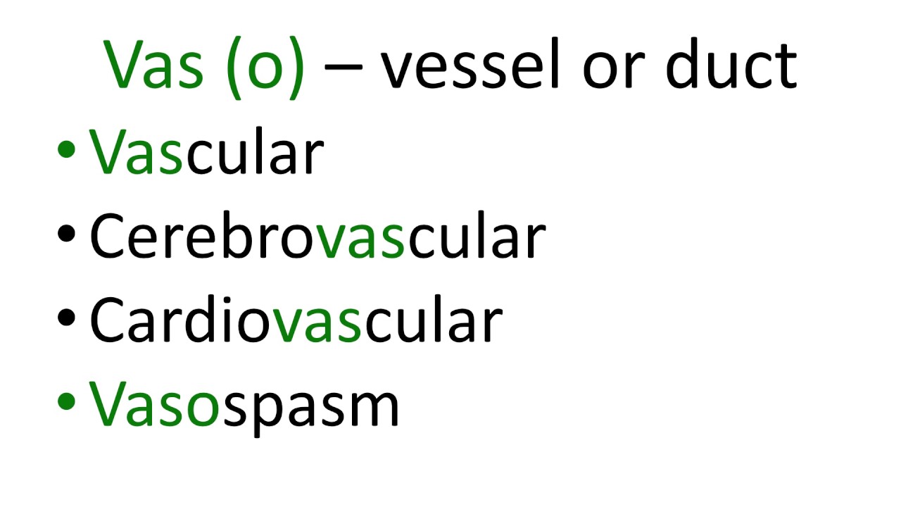 Medical terms 9,  Cardiovascular, blood vessels