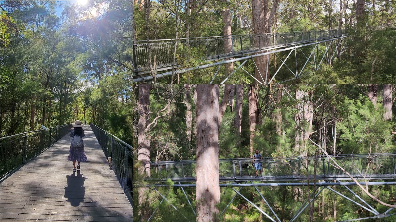 Valley of the Giants Tree Top Walk, Valley of the Giants Rd, Tingledale Western Australia.