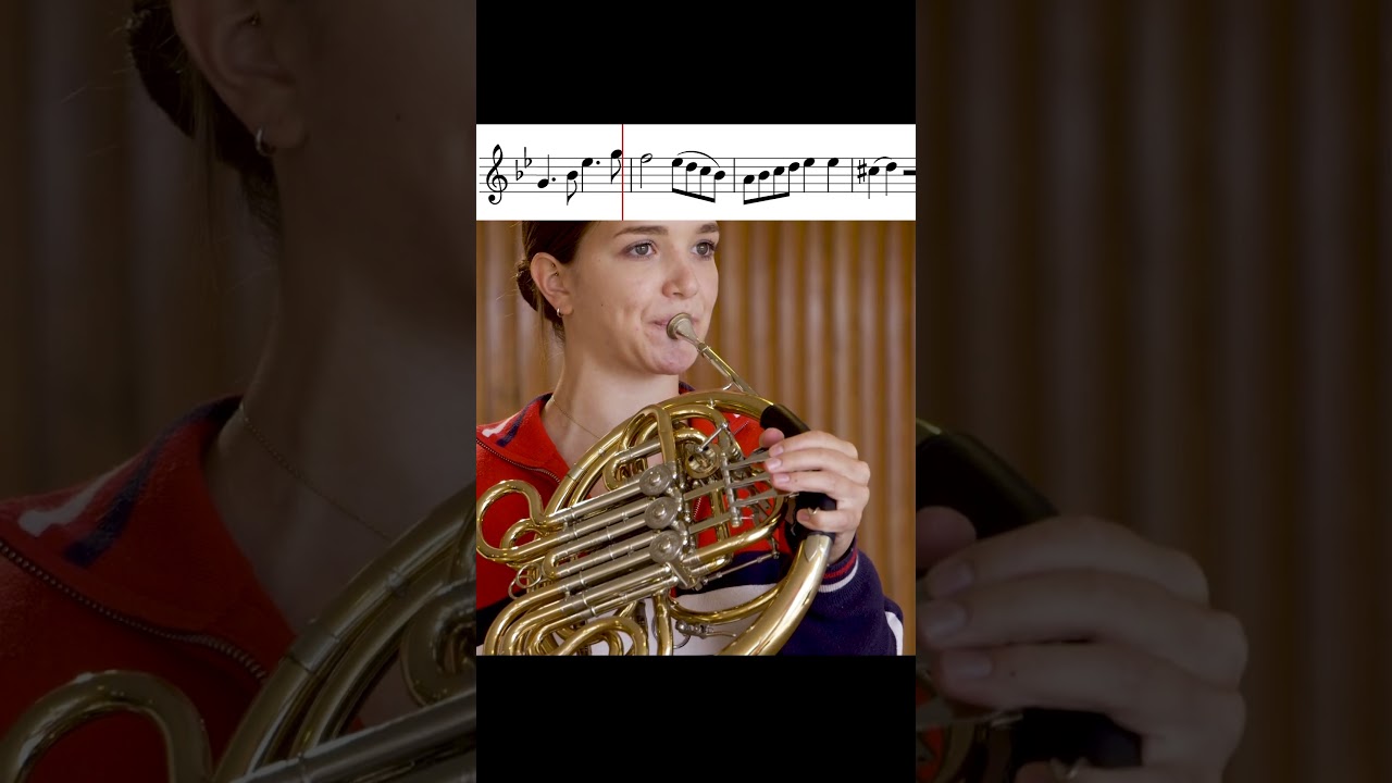 Mozart: Horn Concerto No. 4 &ndash; opening  #classicalmusic #frenchhorn #mozart #horn